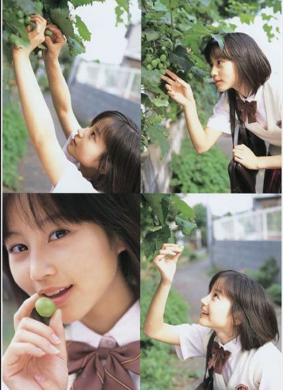 科学家们全12集樱花