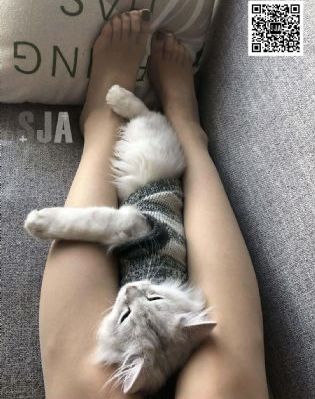 我的父亲母亲