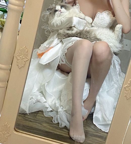 双城之战第二季