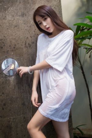 黎明破晓前一共多少集