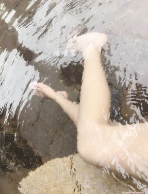 小桥老树