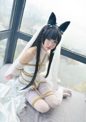 你不懂电视剧